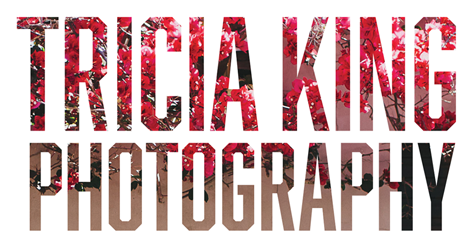 Tricia King Photography